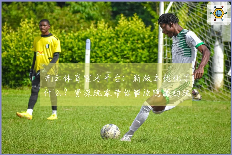 开云体育官方平台：新版本优化了什么？资深玩家带你解读隐藏的玩法变化与潜在收益