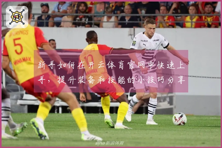 新手如何在开云体育官网中快速上手，提升装备和技能的小技巧分享